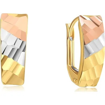 Náušnice DIANTE Zlaté náušnice 59638822 (Au 585/1000, 1,4 g)