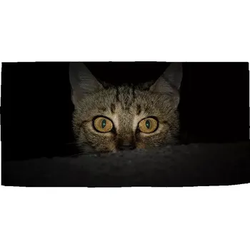 Ručník Sablio Ručník Kočka - 30x50 cm