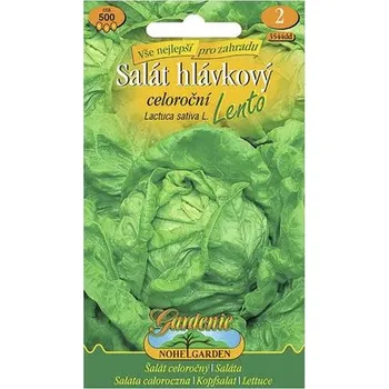 Semeno Salát hlávkový celoroční Lento