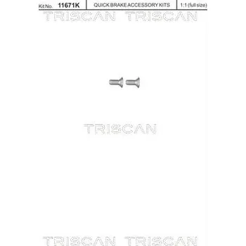 Brzdový kotouč Sada šroubů, brzdový kotouč TRISCAN 8105 116012