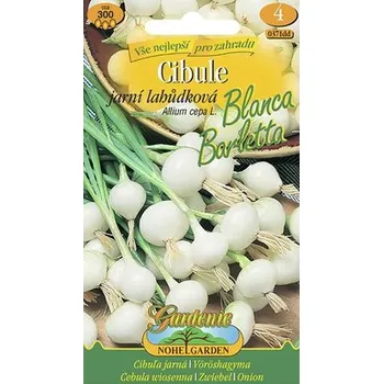 Semeno Cibule jarní Blanca Barletta semena Nohel Garden