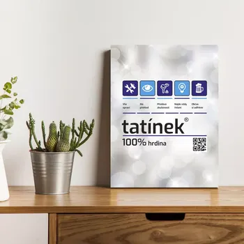 Plechová cedule Sablio Dárková cedulka Tatínek: 30x40 cm