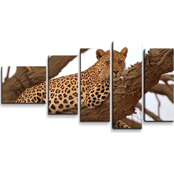 Obraz Sablio Obraz - 5-dílný Levhart 2 - 100x60 cm