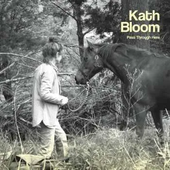 Zahraniční hudba LP Kath Bloom: Pass Through Here 2015