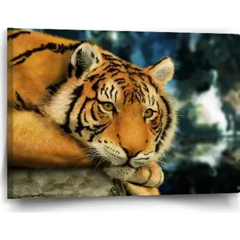 Obraz Sablio Obraz Tygr - 60x40 cm