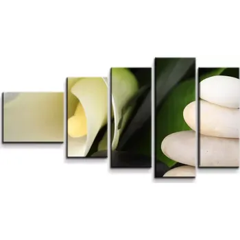 Obraz Sablio Obraz - 5-dílný Kala - 100x60 cm