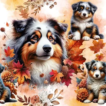 Úplet, Australský ovčák (E) (Top kvalitní úplet Bella digitisk)