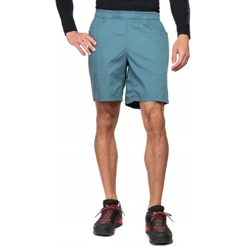 Pánské kraťasy BLACK DIAMOND Kraťasy na lezení pánské Notion Shorts modré m