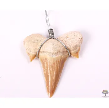 Přívěsek Magieprirody.cz Přívěsek žraločí zub - zkamenělý #43