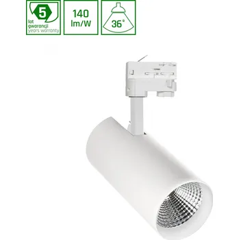 Spectrum Woj-WOJP07761