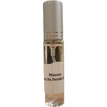 Pánský parfém Mizensir L'envers Du Paradis EDP M 10ml (Parfémovaná voda pro muže) 10 ml