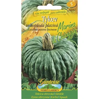 Semeno Tykev velkoplodá plazivá MARINA DI CHIOGGIA Nohel Garden