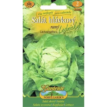 Semeno Salát hlávkový Lednický Nohel Garden