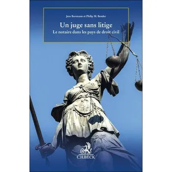 Un juge sans litige - Bormann, Jens