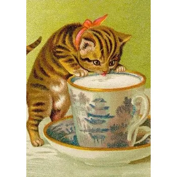 Přání B6 s obálkou - Kočka pije mléko