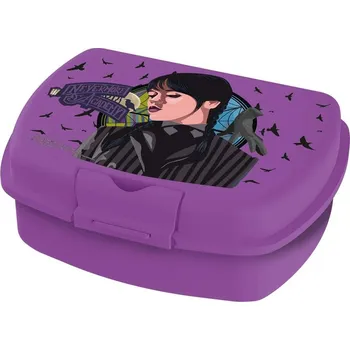 Svačinový box Plastový svačinový box Wednesday 18x14x6,5cm