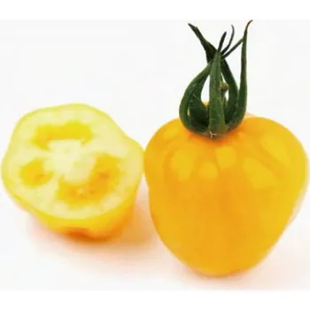 Semeno Rajče tyčkové Appleberry Yellow F1 (cherry, srdcovité, žluté, sladké, odolné plísni)