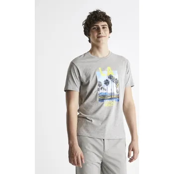 Pánské oblečení Celio Bavlněné tričko Cesouth L.A. - Pánské Celio šedá 1955125