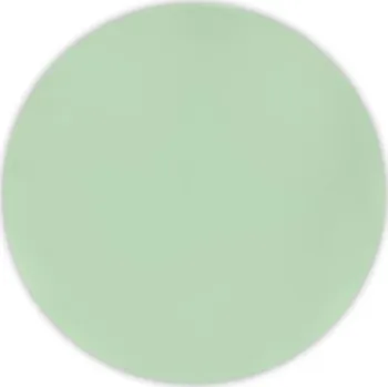 Talíř TALÍŘKY OPAKOVANĚ POUŽITELNÉ MINT PLASTOVÉ 20 CM