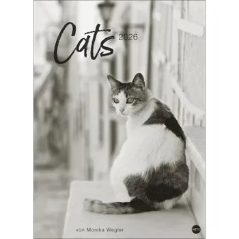 Kalendář Cats Edition Kalender 2026 (DE)