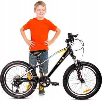 Dětské kolo Dětské kolo Sun Baby VerdantJuniper20 černozlaté, kolo 20" černé