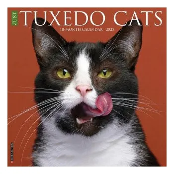 Kalendář Tuxedo Cats 2026 12 X 12 Wall Calendar (EN)