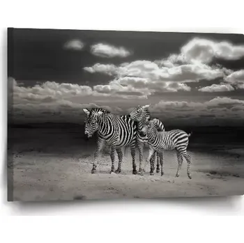Obraz Sablio Obraz Zebry - 60x40 cm