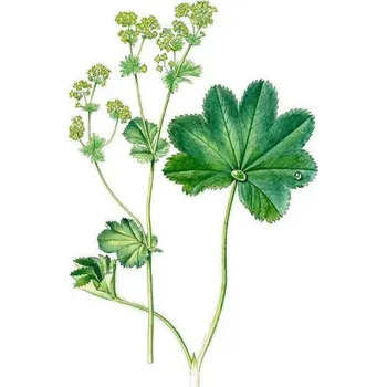 Koupelová kosmetika Bylinná koupel z KONTRYHELE