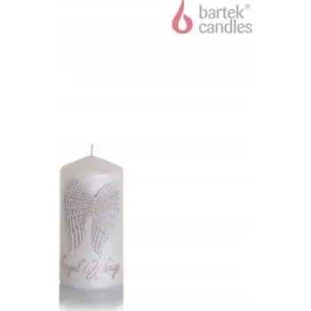 Svíčka Svíčka Angel Wings válec 50/100 mm 160 g