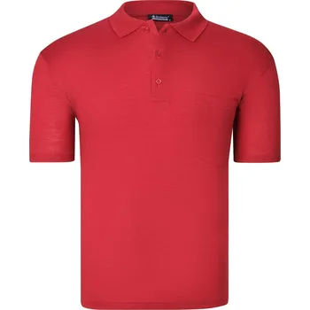 Pánské tričko Červené pánské polokošile dewberry červená 3502366