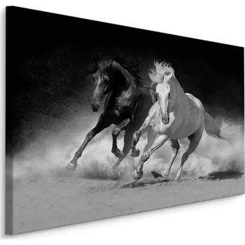 Obraz Obraz na plátně Černobílý obraz - cválající koně 120x80 cm