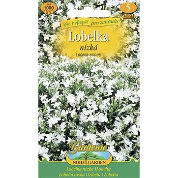 Semeno Lobelka drobná nízká bílá