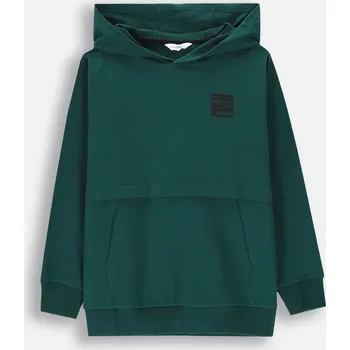 Pánská mikina Tepláková Mikina Chlapecká Zelená mikina s kapucí 110 Coccodrillo ZC4