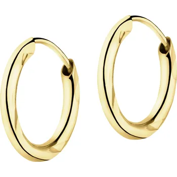 Náušnice Zlaté náušnice - kolečka - AP543-0687