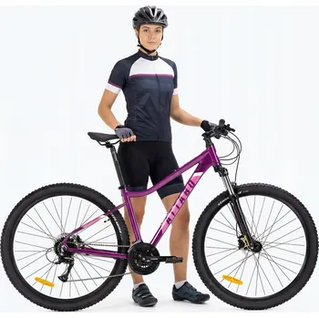 Horské kolo Horské kolo MTB Attabo ALPE 3.0, rám 15 palců, kola 29", fialové
