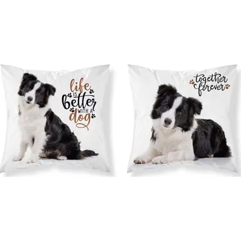 Povlak na dekorativní polštářek Detexpol Povlak na polštářek 40 x 40 cm Border kolie