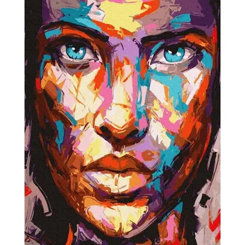 Malování podle čísel iPicasso 40x50 cm na rámu