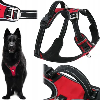 Postroj pro psa Postroj pro psa červený HUGGY DOGGY odolný velikost L