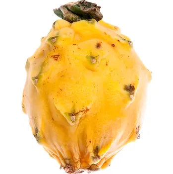 Pitahaya žlutá