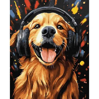 Malování podle čísel iPicasso 40x50 cm na rámu Uši v techno stylu