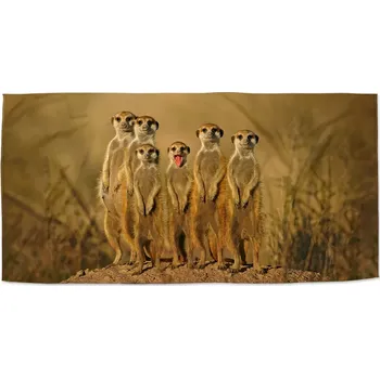 Osuška Sablio Ručník Surikaty - 50x100 cm