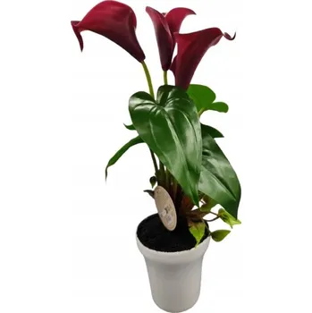 umělá květina EXCELLENT FLOWERS umělé květy v květináči, fialové Kály