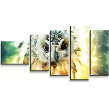Obraz Sablio Obraz - 5-dílný Sova - 100x60 cm