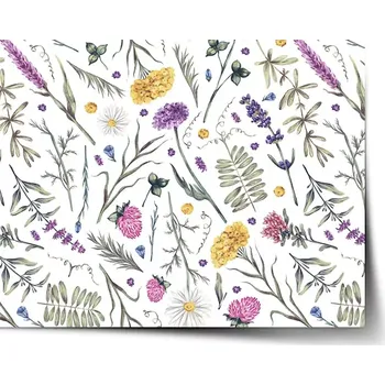 Plakát Sablio Plakát Babiččina zahrádka - 60x40 cm