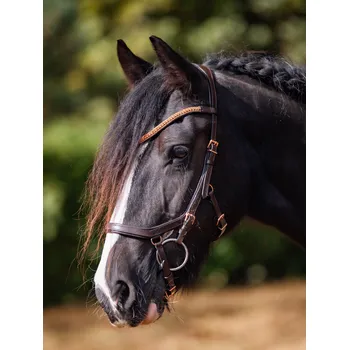 Sedlářská výroba Uzdečka Horse4u Rosegold Honor Barva: černá, Velikost: FULL