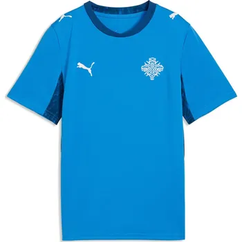 Chlapecké kraťasy Puma Blue 427608 13 (XL)