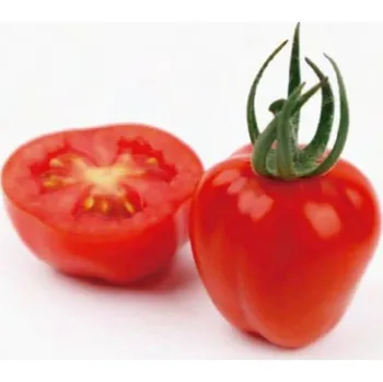 Semeno Rajče tyčkové Appleberry Red F1 (cherry, srdcovité, sladké, odolné plísni)