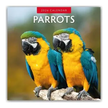 Diář Parrots - Papageien 2026 - 16-Monatskalender (EN)