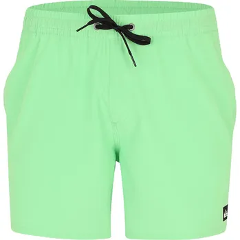 Pánské oblečení koupací šortky Quiksilver Surfsilk Solid Volley 16 - GGJ0/Summer Green XXL