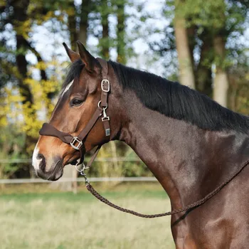 BUSSE Ohlávka Soft Air BUSSE, tmavě hnědá PONY